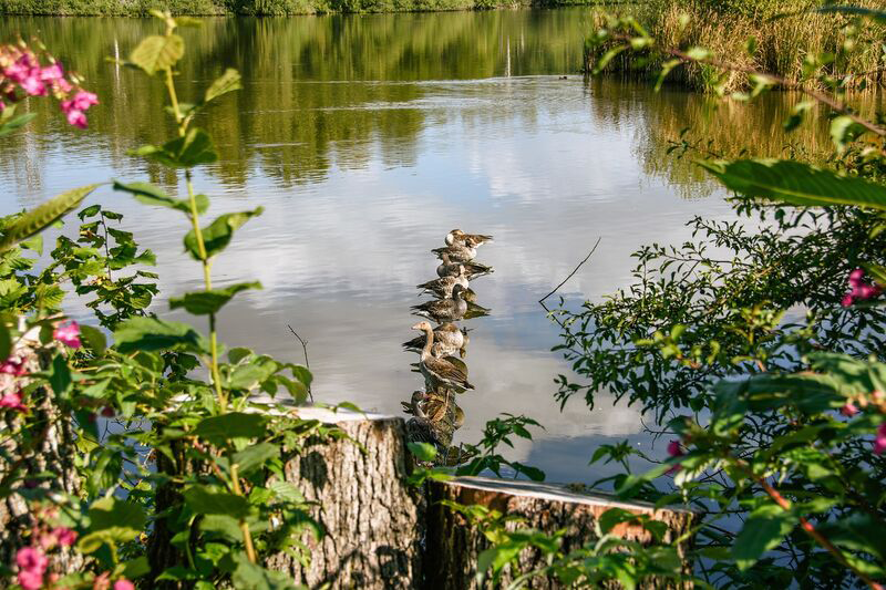 Biotopbild
